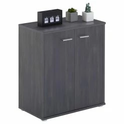 CARO-Möbel Schuhschrank LENNIS 2 Türen In Esche Grau