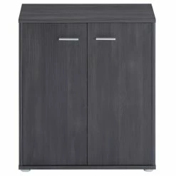 CARO-Möbel Schuhschrank LENNIS 2 Türen In Esche Grau -Günstiges Schränke Geschäft 95449 1 N