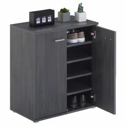 CARO-Möbel Schuhschrank LENNIS 2 Türen In Esche Grau -Günstiges Schränke Geschäft 95449 2