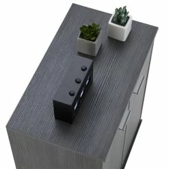 CARO-Möbel Schuhschrank LENNIS 2 Türen In Esche Grau -Günstiges Schränke Geschäft 95449 4